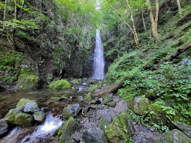 川苔山の滝